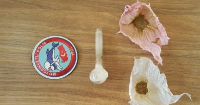 Van’da ‘torbacı’ operasyonu