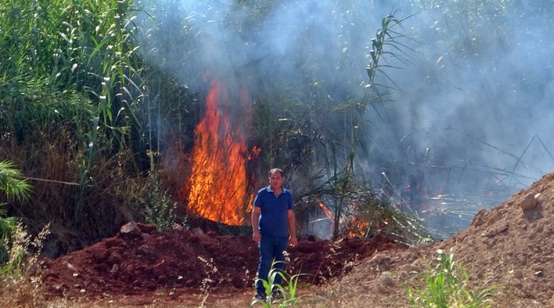 Yangında çıkan sese uyanıp sokağa döküldüler