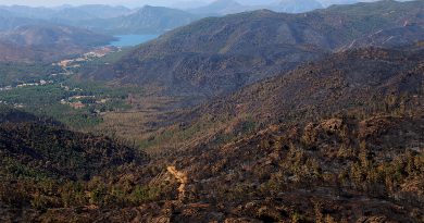 Yangından sonra Bördübet havadan görüntülendi