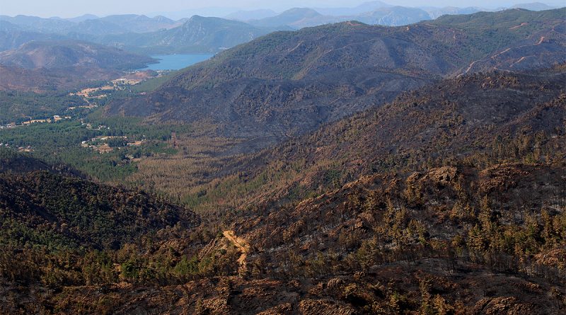 Yangından sonra Bördübet havadan görüntülendi
