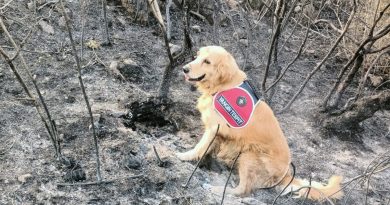 Yangının çıktığı noktayı ‘Kadro’ tespit etti