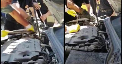 Yılan otomobilin motoruna girdi