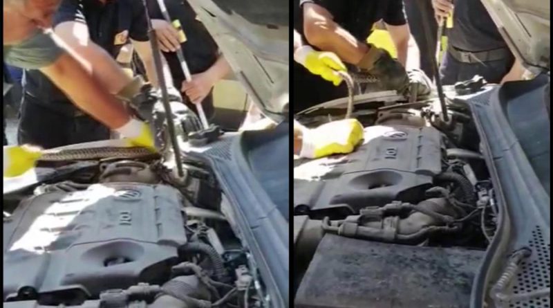 Yılan otomobilin motoruna girdi