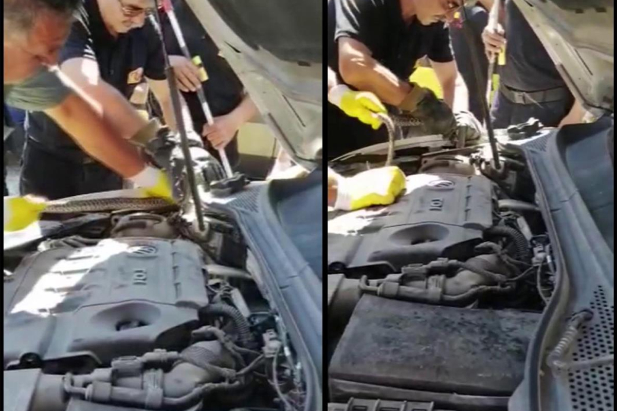 Yılan otomobilin motoruna girdi
