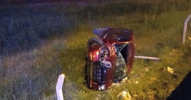 Yoldan çıkan otomobil tarladaki tellere takılarak durabildi