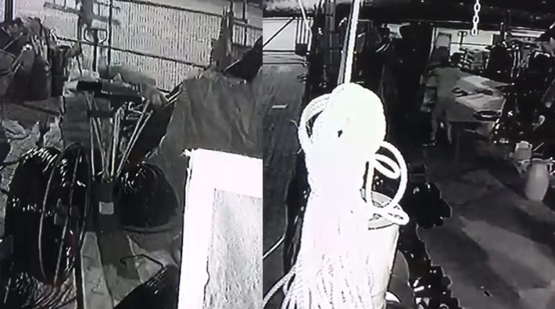 Yoldan geçerken fark ettiği merdivenleri seçerek çalan şüpheli güvenlik kamerasında