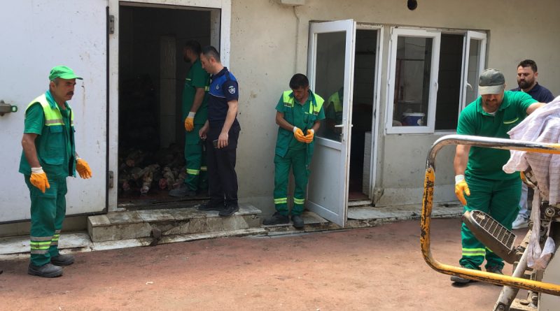 Zabıtalar soğuk hava deposunu bastı, etleri yerlerden topladı