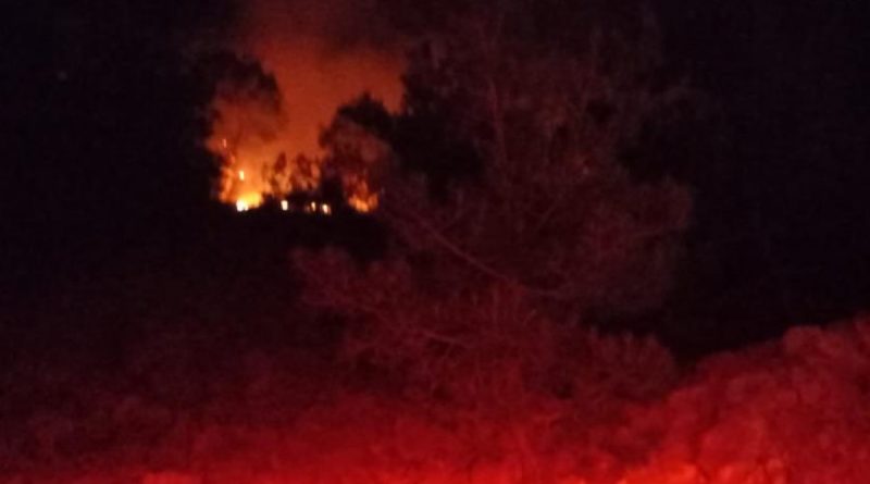 Adana’da gece çıkan orman yangını kontrol altına alındı