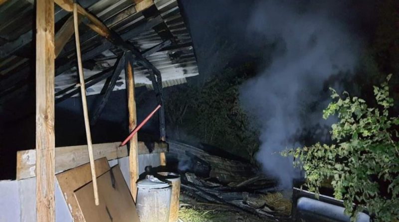 Ahırda çıkan yangın, satışı tamamlanan 10 kurbanlık hayvanı telef etti