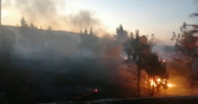 Aliağa’da çıkan yangın ormanlık alana sıçramadan kontrol altına alındı