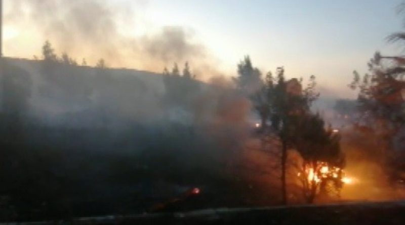 Aliağa’da çıkan yangın ormanlık alana sıçramadan kontrol altına alındı
