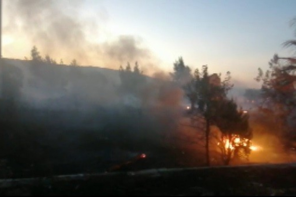 Aliağa’da çıkan yangın ormanlık alana sıçramadan kontrol altına alındı