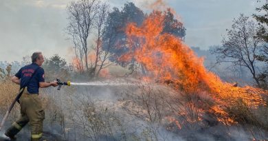 Bandırma’da yol kenarındaki otluk alanda yangın çıktı