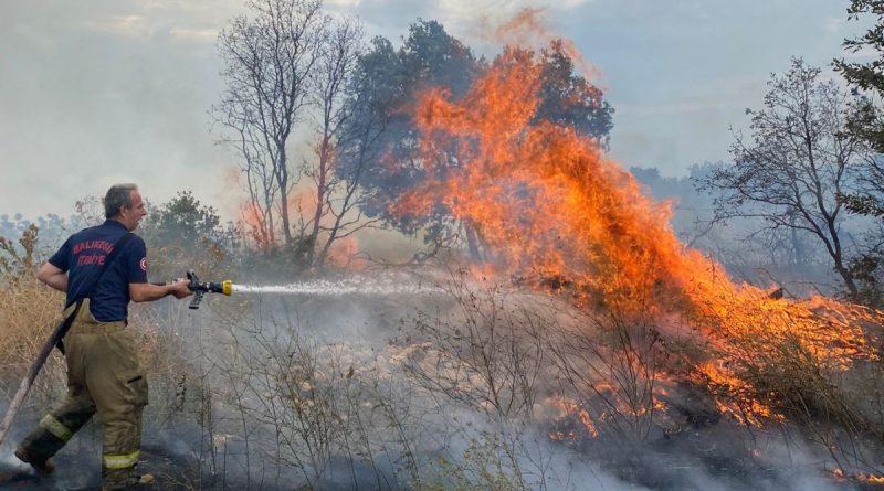 Bandırma’da yol kenarındaki otluk alanda yangın çıktı