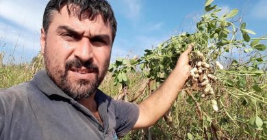 Bayram günü kardeş cinayeti