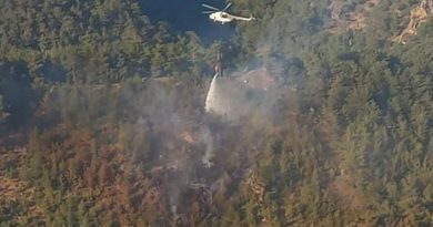 Bergama'daki orman yangını 1 saatte kontrol altında
