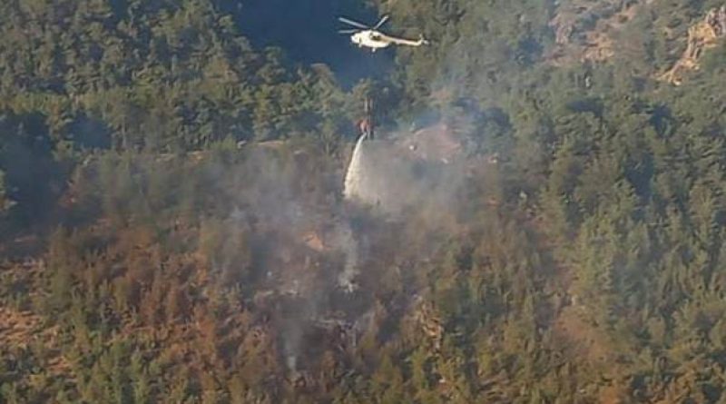Bergama'daki orman yangını 1 saatte kontrol altında