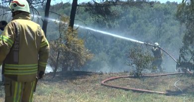 Beykoz'da ormanlık alanda yangın!