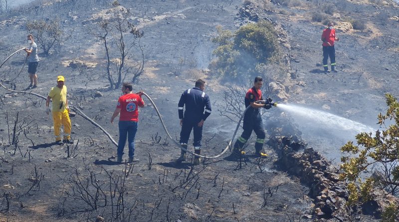 Bodrum’da makilik alanda yangın çıktı