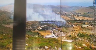 Çeşme’de makilik alanda yangın