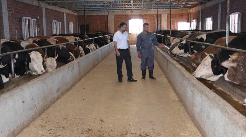 Devlet teşvikiyle kendi işini kurdu, 2 yılda üretimi 10 katına çıkardı