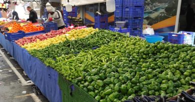 Fiyatı en çok artan ve azalan ürünler belli oldu!