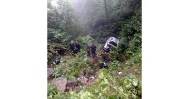 Giresun'da hafif ticari araç dereye uçtu: 7 yaralı