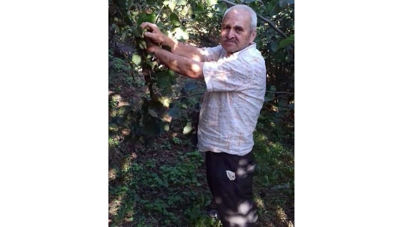 Ihlamur ağacından düştü, hastanede hayatını kaybetti