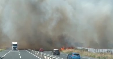 İstanbul - Tekirdağ yolunda yangın!