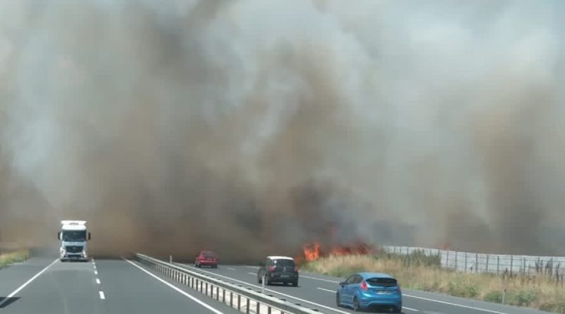 İstanbul - Tekirdağ yolunda yangın!