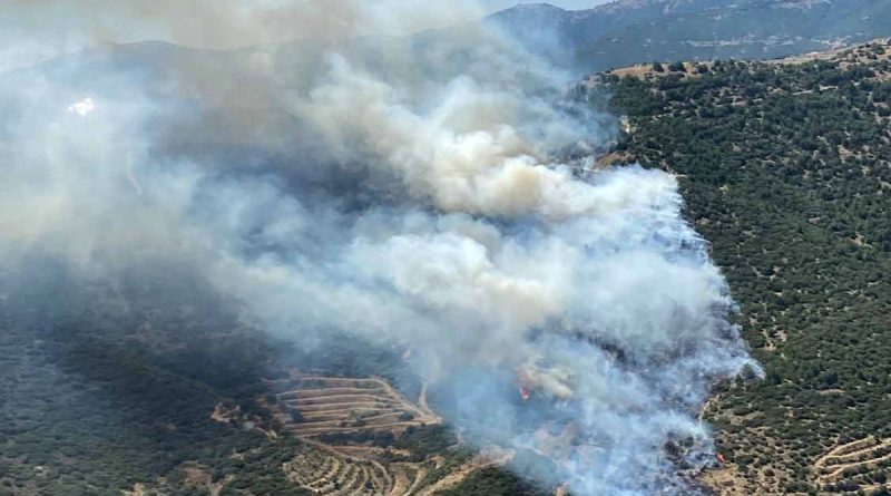 İzmir'de iki ayrı bölgede orman yangını