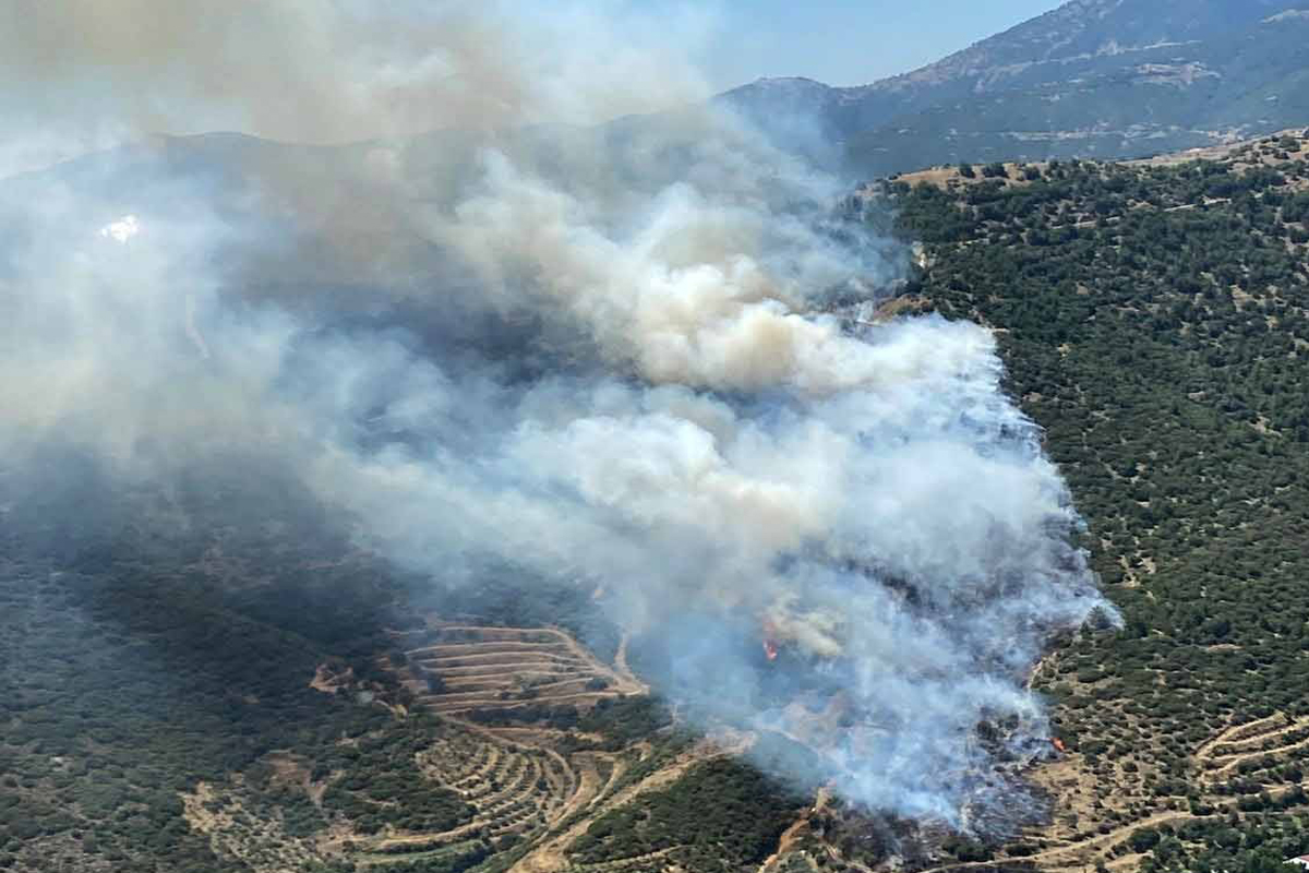İzmir'de iki ayrı bölgede orman yangını