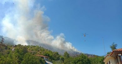 İzmir'deki orman yangını 149 dakikada kontrol altına alındı