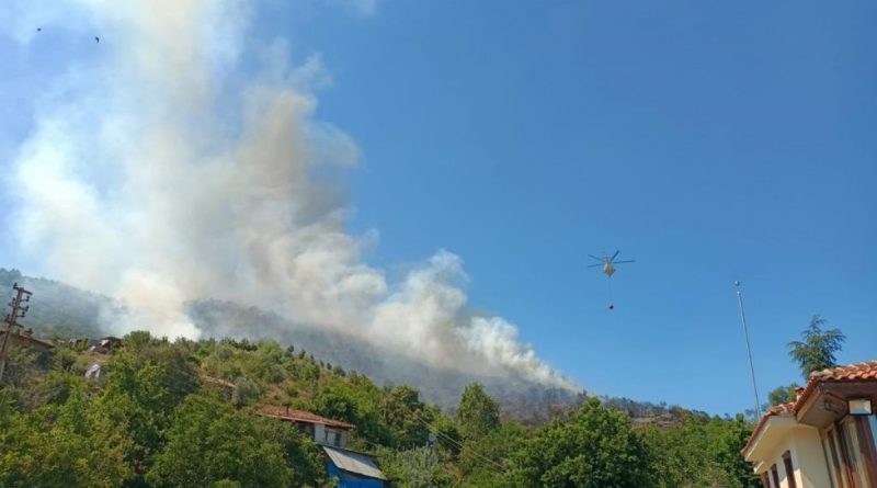 İzmir'deki orman yangını 149 dakikada kontrol altına alındı