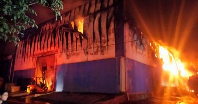 Kahramanmaraş'ta geri dönüşüm tesisinde yangın