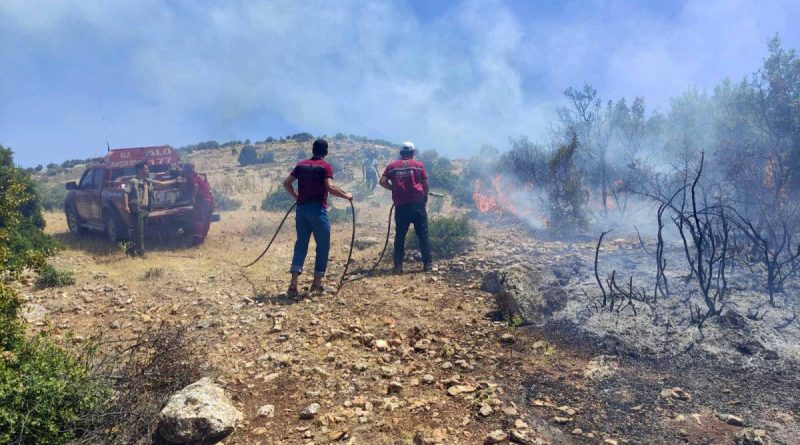 Kilis’te çıkan orman yangını kısa sürede söndürüldü