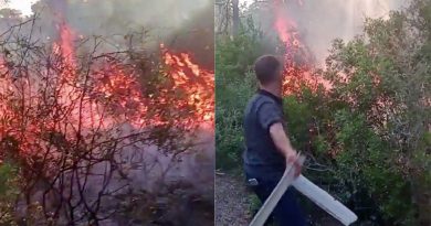 Manavgat’ta ormanlık alanda korkutan yangın