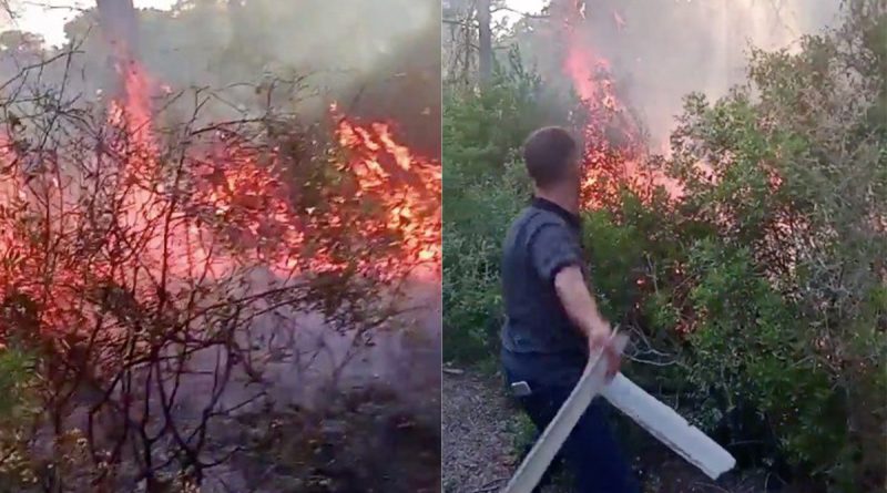 Manavgat’ta ormanlık alanda korkutan yangın