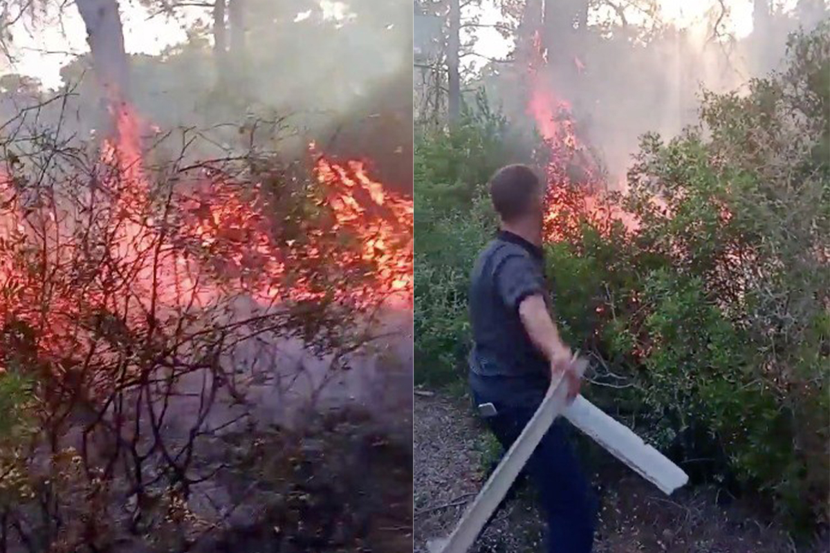 Manavgat’ta ormanlık alanda korkutan yangın