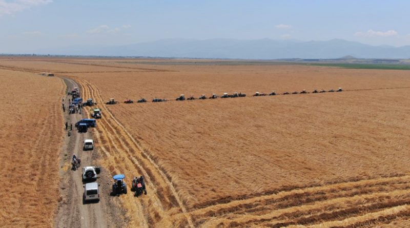 Manisa’da kuruyan gölde yer paylaşımı kavgası: 4 gözaltı
