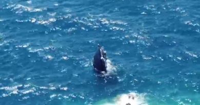 Motoryat suya gömüldü, 3 kişi bota binerek kurtuldu