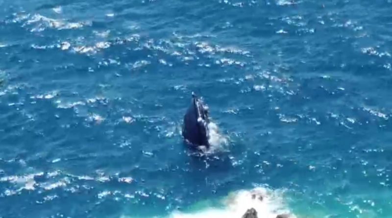 Motoryat suya gömüldü, 3 kişi bota binerek kurtuldu