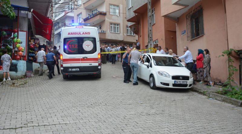 Ordu’da su meselesi kavgası kanlı bitti: 2 yaralı