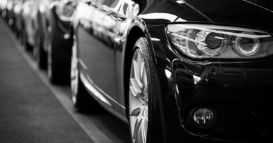 Otomobil ve hafif ticari araç satışları yüzde 9,3 geriledi