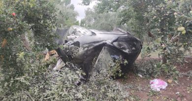 Otomobil zeytinliğe uçtu: 3 yaralı