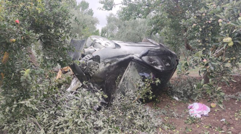 Otomobil zeytinliğe uçtu: 3 yaralı