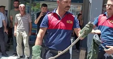 Park halindeki motosikletten yılan çıktı