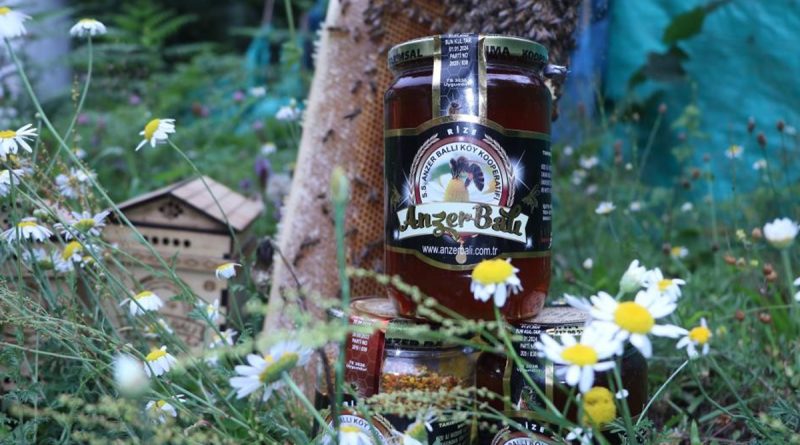 Rize’nin dünyaca ünlü Anzer balı 2 bin TL oldu