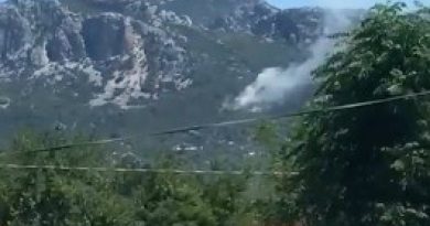 Serik’teki orman yangını kontrol altına alındı