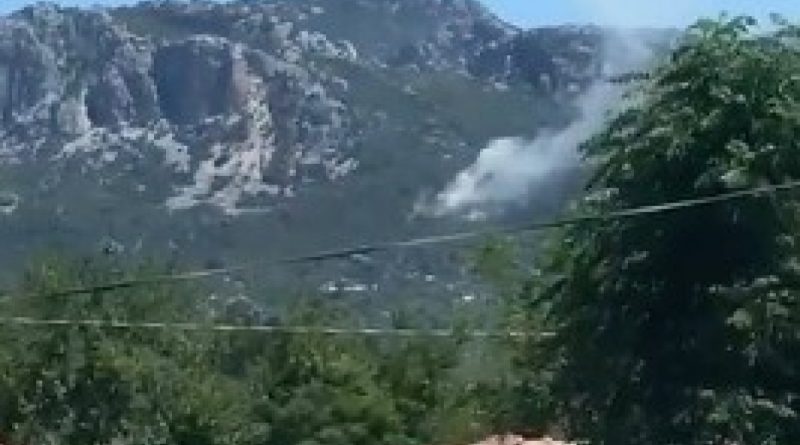 Serik’teki orman yangını kontrol altına alındı